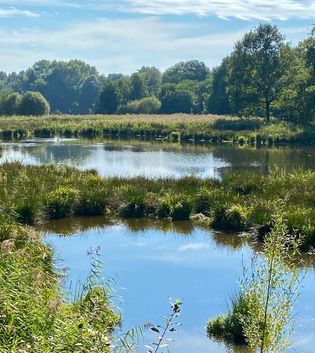 kleiner see